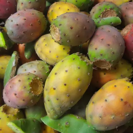 La Greka 3* Condofuri