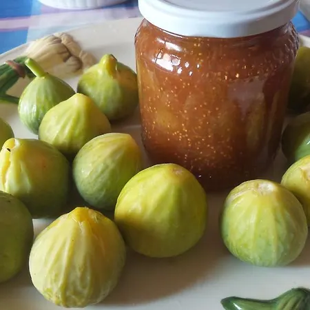 Bed and breakfast La Greka 3*