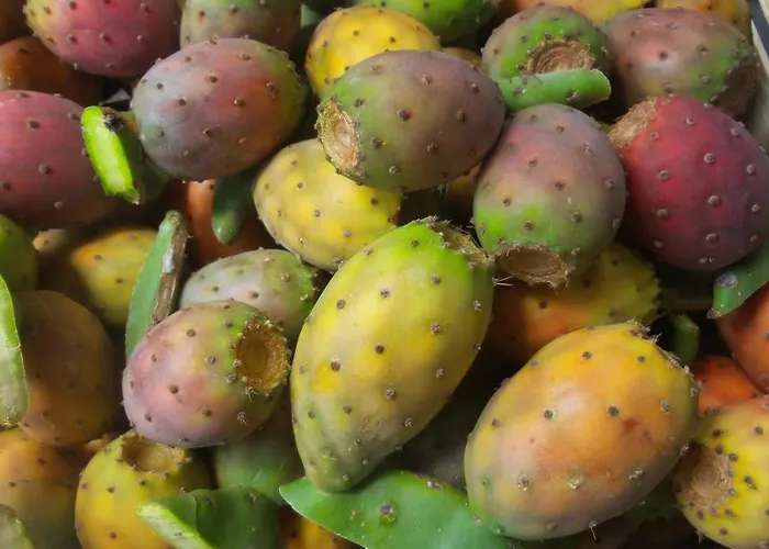 La Greka 3* Condofuri